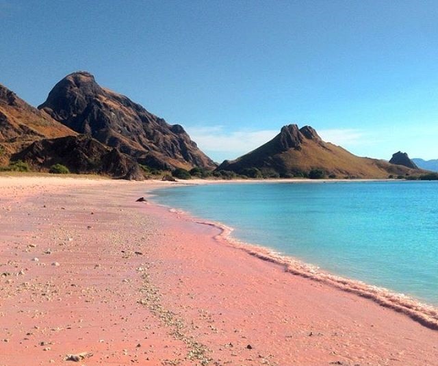 panta pink pantai tangsi lombok timur by indra.bidy