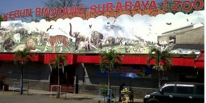 Hookup sites like craigslist in Surabaya
