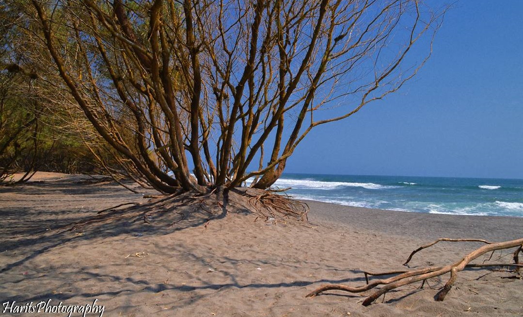 Lokasi Pantai Goa Cemara