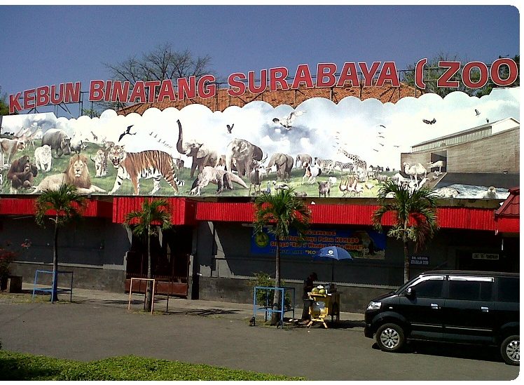 You porn zoo in Surabaya